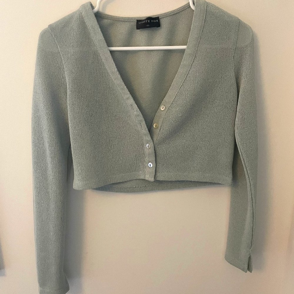 White Fox Mesh Long Sleeve Button Down V-Neck Crop Top